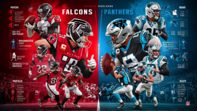 atlanta falcons vs carolina panthers match player stats