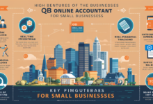 qb online accountant​